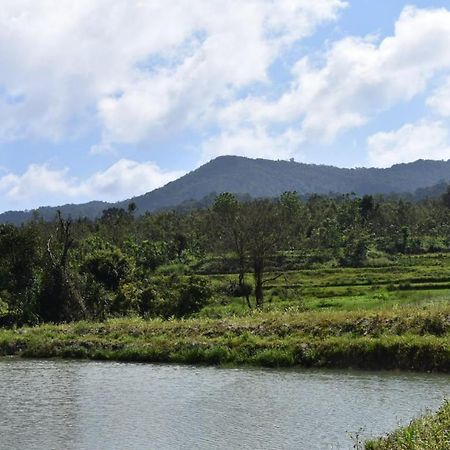 Camp Coorg Lejlighed Madikeri Eksteriør billede